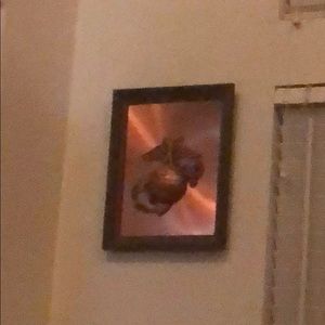 Meet your Posher, Timothy